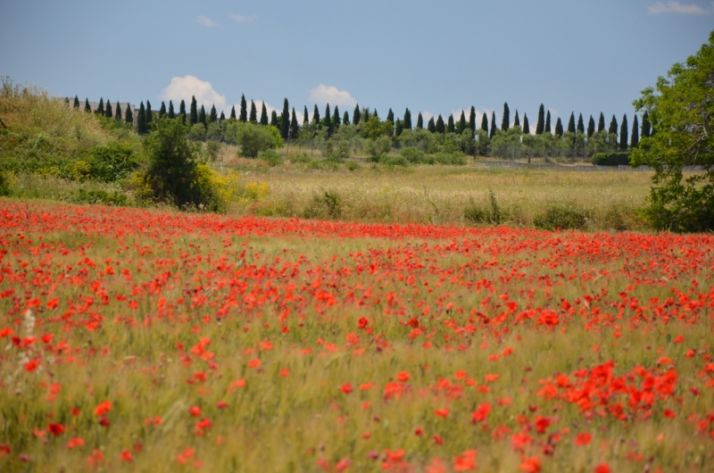 Маршрут в начале мая: побережье Амальфи +(?) Апулия за неделю