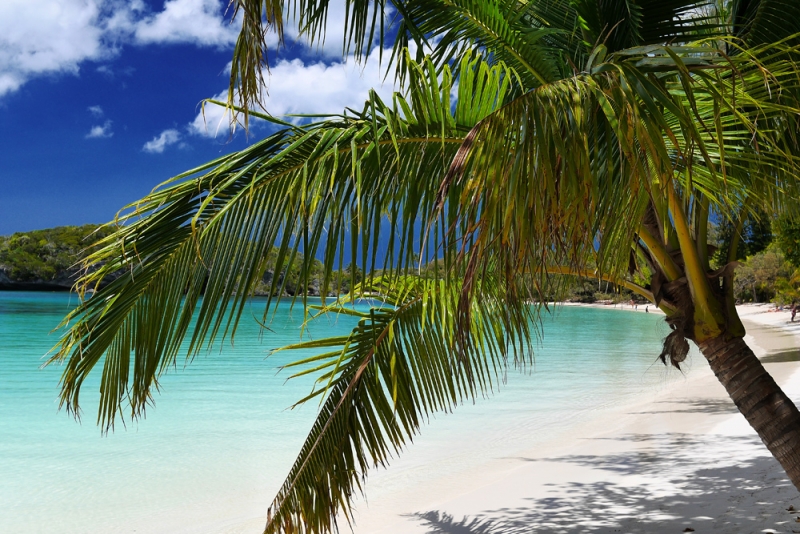 Иль де Пинс