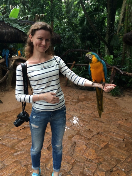 Бразилия в ноябре 2015 года (Игуасу, Рио)