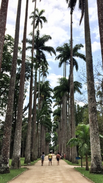 Бразилия в ноябре 2015 года (Игуасу, Рио)