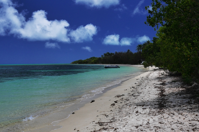 Остров Ile des Pins