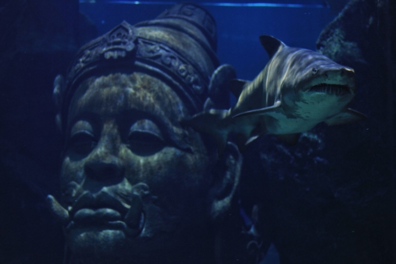 Путешествие в Таиланд фев. 2015г. (Бангкок-Чианг Май-Чианг Рай-Пхукет-Као Сок-Аюттхая)