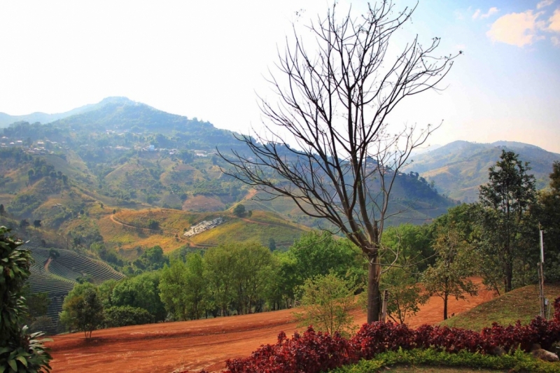 Путешествие в Таиланд фев. 2015г. (Бангкок-Чианг Май-Чианг Рай-Пхукет-Као Сок-Аюттхая)