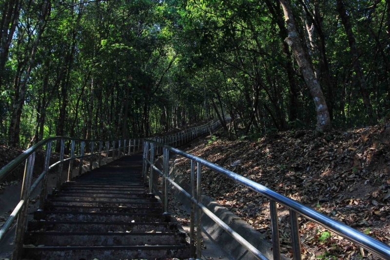 Путешествие в Таиланд фев. 2015г. (Бангкок-Чианг Май-Чианг Рай-Пхукет-Као Сок-Аюттхая)