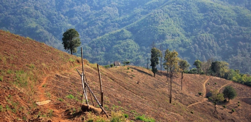 Путешествие в Таиланд фев. 2015г. (Бангкок-Чианг Май-Чианг Рай-Пхукет-Као Сок-Аюттхая)