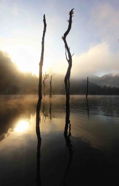 Путешествие в Таиланд фев. 2015г. (Бангкок-Чианг Май-Чианг Рай-Пхукет-Као Сок-Аюттхая)