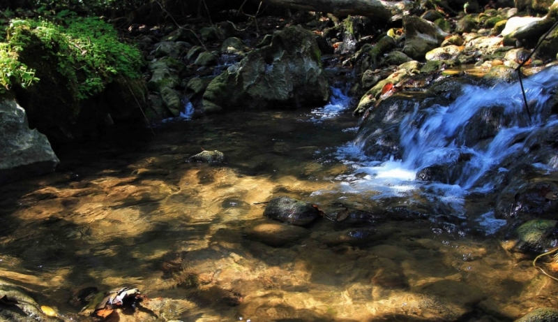 Путешествие в Таиланд фев. 2015г. (Бангкок-Чианг Май-Чианг Рай-Пхукет-Као Сок-Аюттхая)