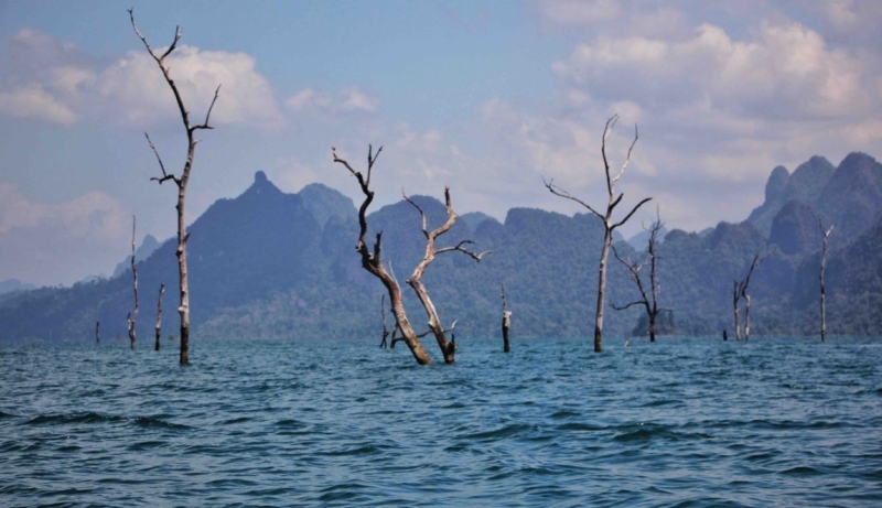 Путешествие в Таиланд фев. 2015г. (Бангкок-Чианг Май-Чианг Рай-Пхукет-Као Сок-Аюттхая)