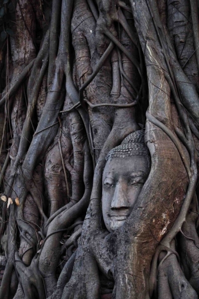 Путешествие в Таиланд фев. 2015г. (Бангкок-Чианг Май-Чианг Рай-Пхукет-Као Сок-Аюттхая)