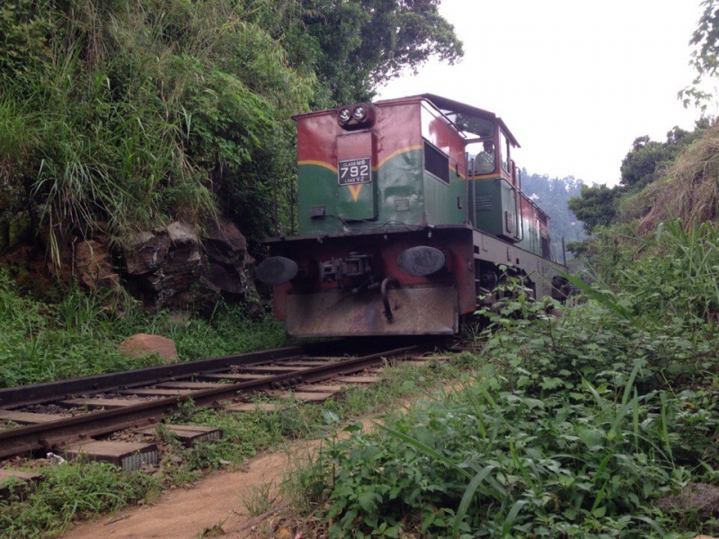 Ланка без изысков. Ноябрь 2015