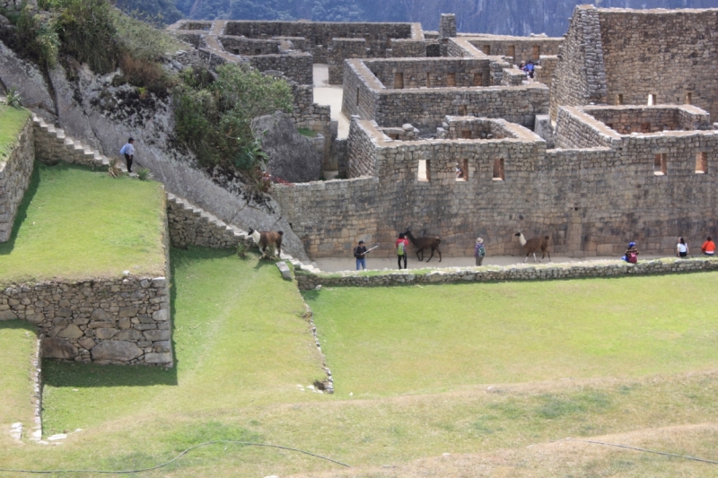 Перу. Сентябрь 2015