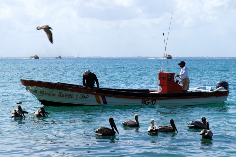 Юкатан на Рождество и Новый год: вопросы по маршруту