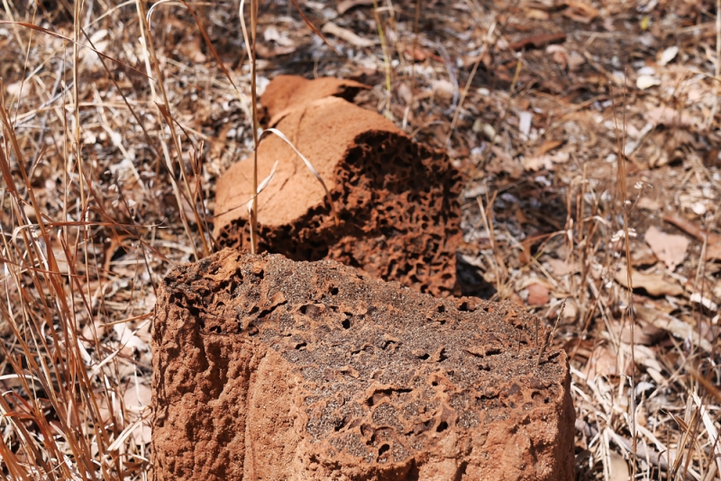 Австралийский аутбек