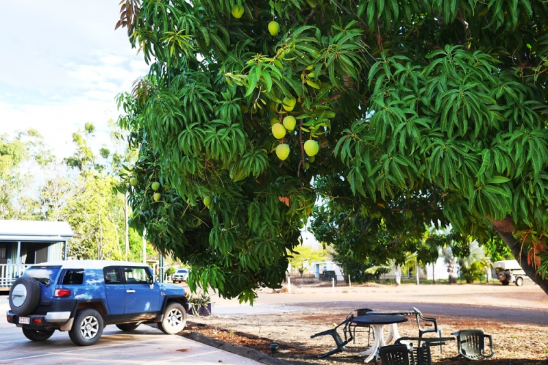 Австралийский аутбек