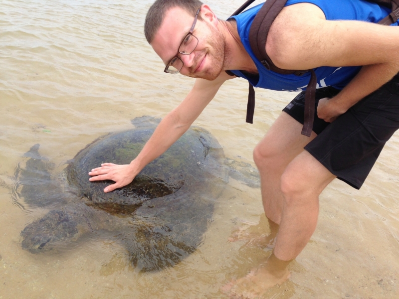 Ланка без изысков. Ноябрь 2015