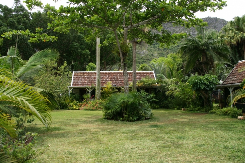 Одна на Маврикии. Ноябрь 2015