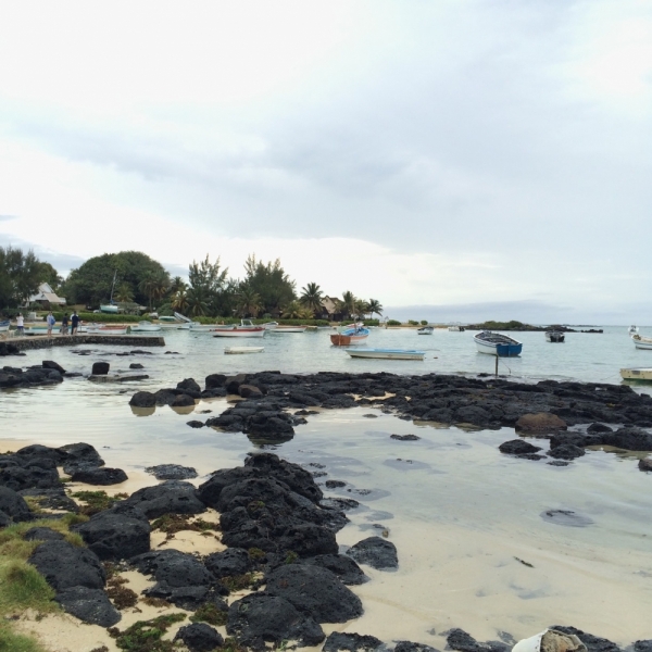 Одна на Маврикии. Ноябрь 2015