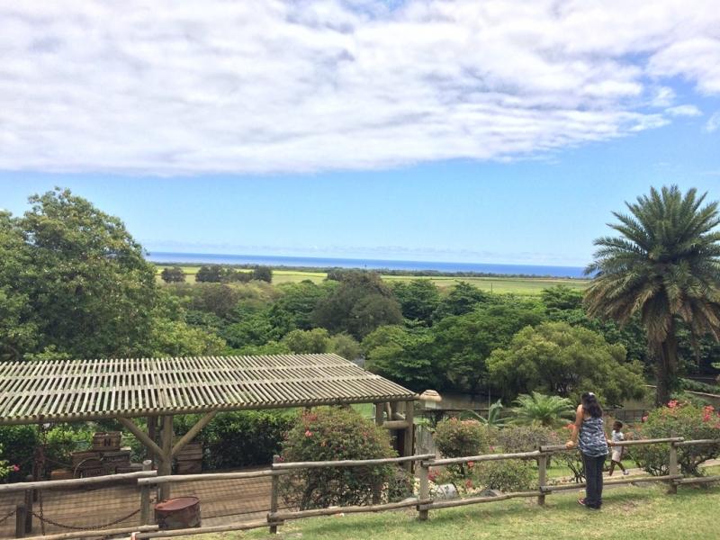 Одна на Маврикии. Ноябрь 2015