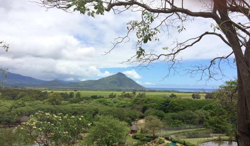 Одна на Маврикии. Ноябрь 2015