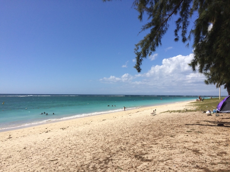 Одна на Маврикии. Ноябрь 2015