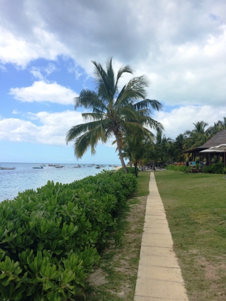 Одна на Маврикии. Ноябрь 2015