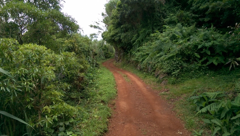 Азоры: 5 островов, одна, весь багаж 4 кг, 16 дней, полная импровизация
