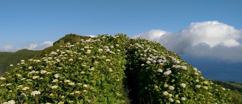 Азоры: 5 островов, одна, весь багаж 4 кг, 16 дней, полная импровизация