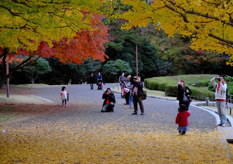 Лучшие достопримечательности Японии в сезон момидзи: Tokyo-Nagoya(Obara,Korankei)-Kyoto-Nara-Osaka