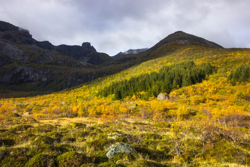 Осень на Лофотенах