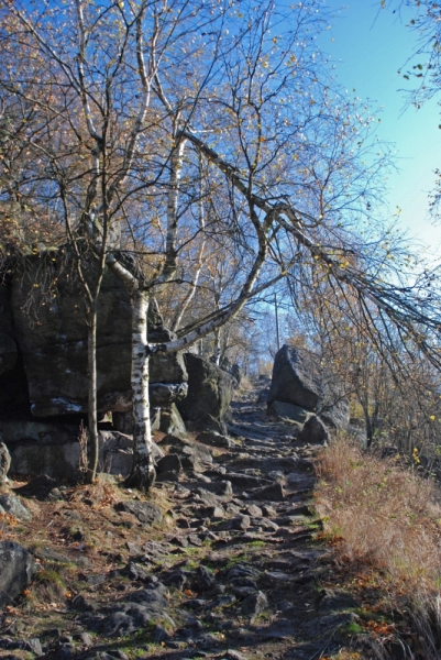 Дечинский снежник