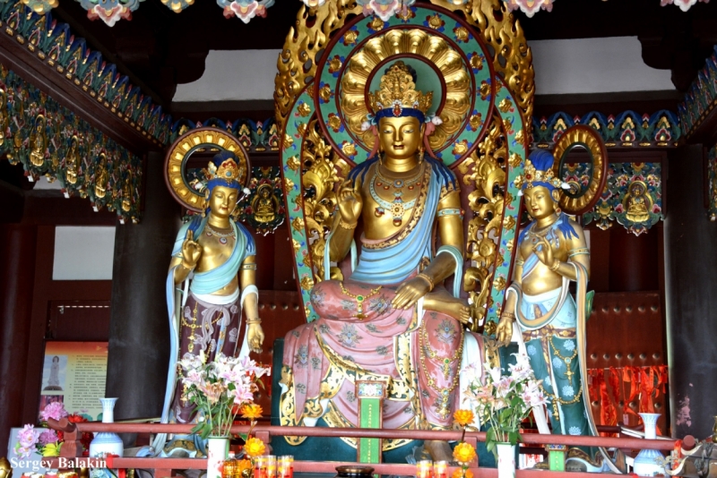 Азиадские штучки Queen-pig, тук-тук и хот-дог по-хайнаньски в круизе Voyager of the Seas