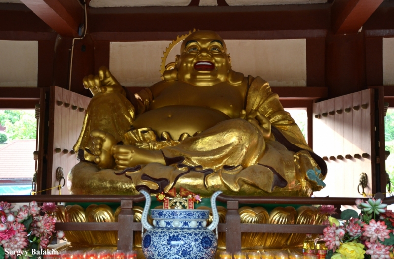 Азиадские штучки Queen-pig, тук-тук и хот-дог по-хайнаньски в круизе Voyager of the Seas