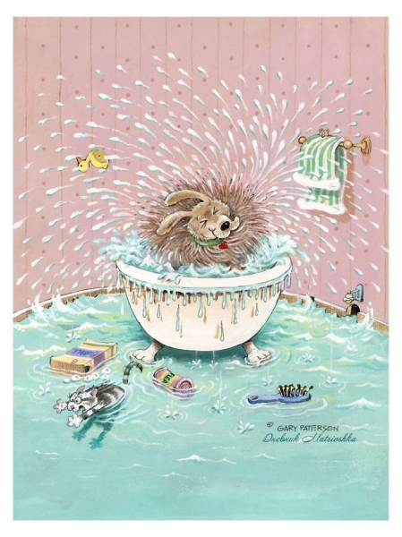 Поговорим о кошках36