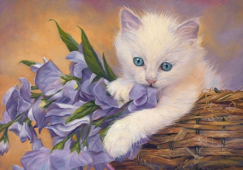 Поговорим о кошках36