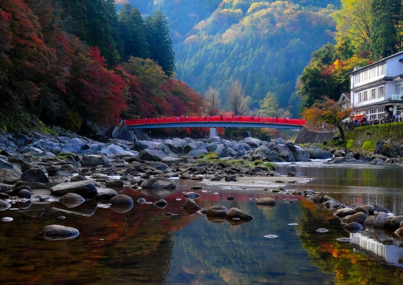 Лучшие достопримечательности Японии в сезон момидзи: Tokyo-Nagoya(Obara,Korankei)-Kyoto-Nara-Osaka