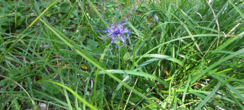 Июль 2015. Польша, Германия, Чехия, Австрия Словения Италия Доломиты