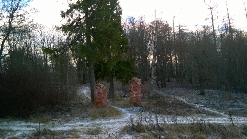 Ленинградская область деревня Пятая гора, координаты N 59° 26.646, E 29° 45.244.