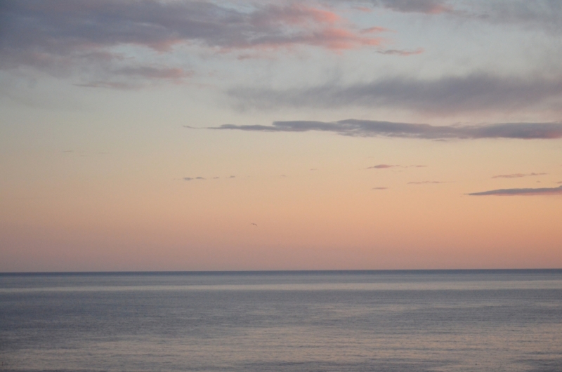 Корсика. Неделя на острове красоты. Май 2014