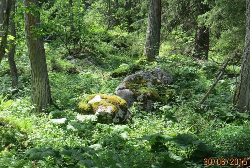 Зальцкаммергут- край спокойной красоты