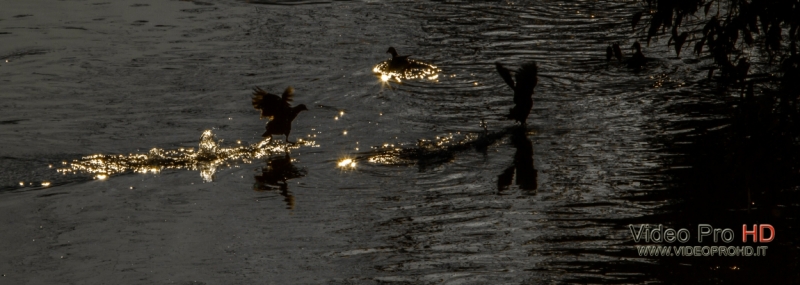 La mia vita. Римские записки, дневник онлайн