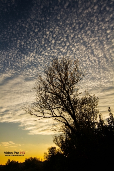 La mia vita. Римские записки, дневник онлайн