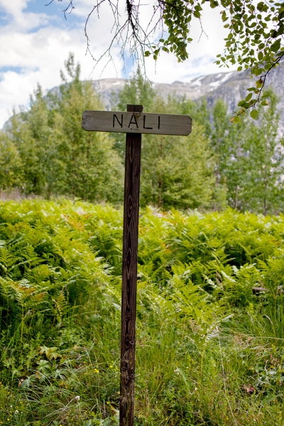 Первая поездка в Норвегию на своем автомобиле (июнь-июль 2014)