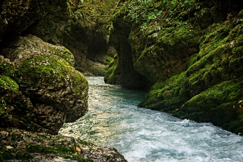 Мартвильский каньон на реке Абаша