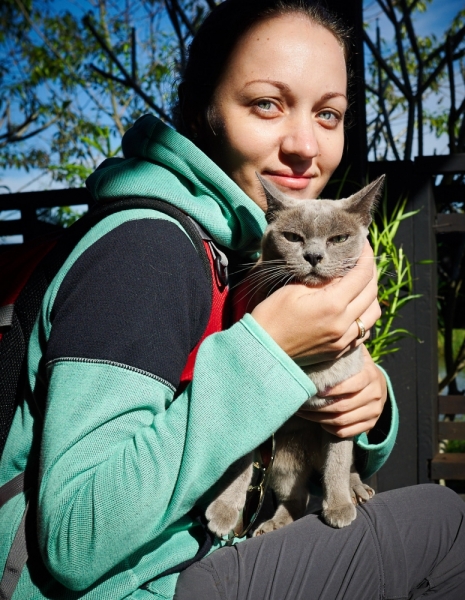 Поговорим о кошках36