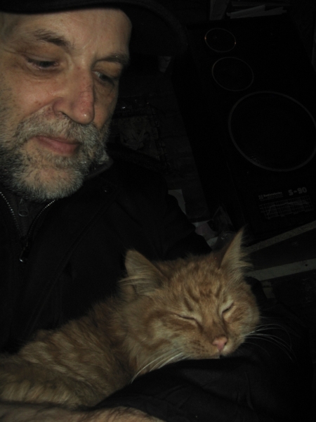 Поговорим о кошках36