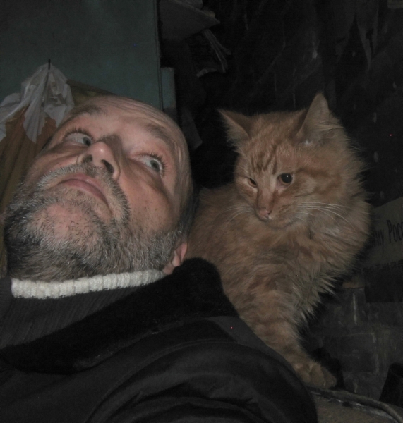 Поговорим о кошках36