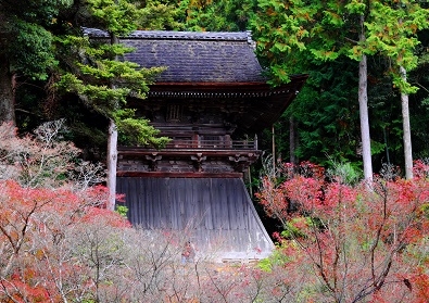 Лучшие достопримечательности Японии в сезон момидзи: Tokyo-Nagoya(Obara,Korankei)-Kyoto-Nara-Osaka