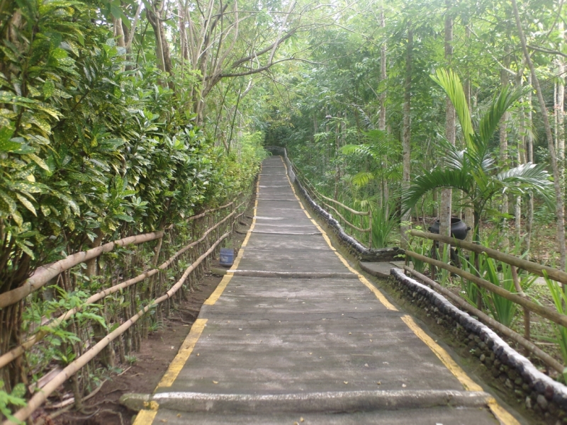 Legazpi-Catanduanes-Caramoan