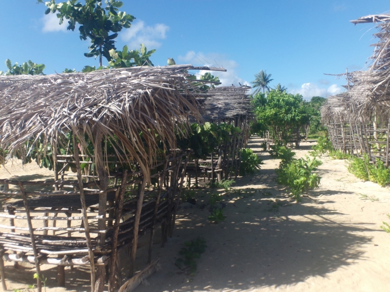 Legazpi-Catanduanes-Caramoan