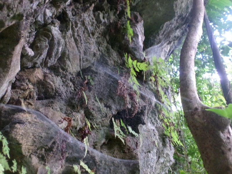 Legazpi-Catanduanes-Caramoan